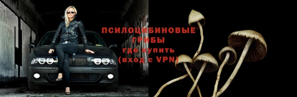 дурь Алзамай