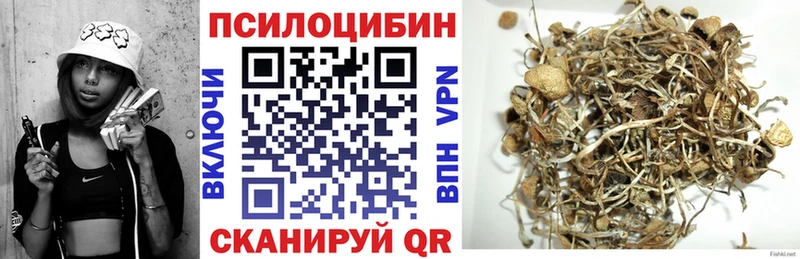 Галлюциногенные грибы мицелий где можно купить Сольвычегодск